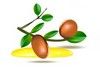 Icone Argan 1